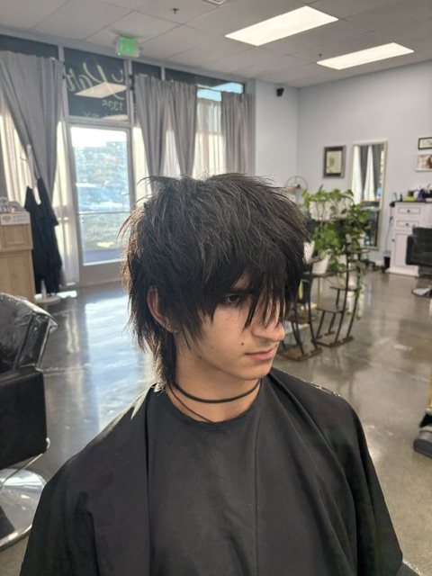 Mens shag with length kept through the back