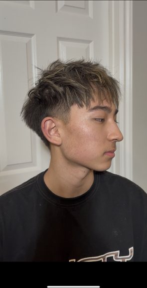 Short cropped mens cut with a tapered neckline